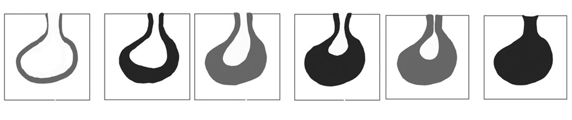 عملیات تلقیح و حجم غزال گذاری